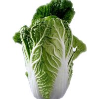 chinese-cabbage-74360_640
